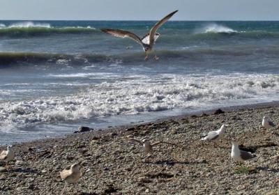 Прикрепленное изображение: DSCF8066.jpg